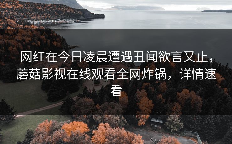 网红在今日凌晨遭遇丑闻欲言又止，蘑菇影视在线观看全网炸锅，详情速看