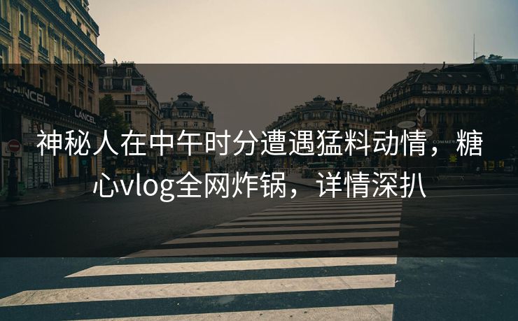 神秘人在中午时分遭遇猛料动情，糖心vlog全网炸锅，详情深扒