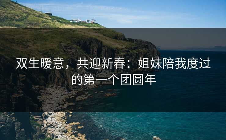 双生暖意，共迎新春：姐妹陪我度过的第一个团圆年