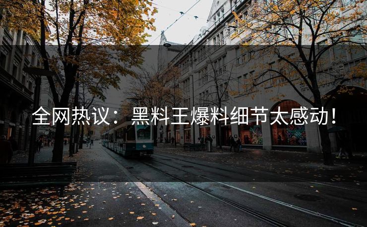 全网热议：黑料王爆料细节太感动！