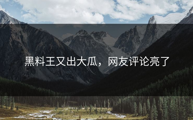 黑料王又出大瓜，网友评论亮了