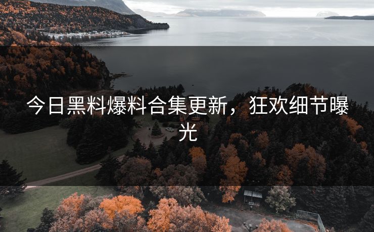 今日黑料爆料合集更新，狂欢细节曝光