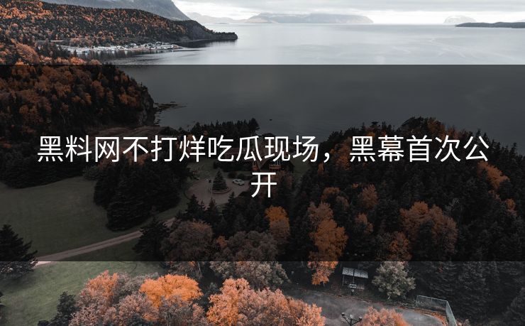 黑料网不打烊吃瓜现场，黑幕首次公开