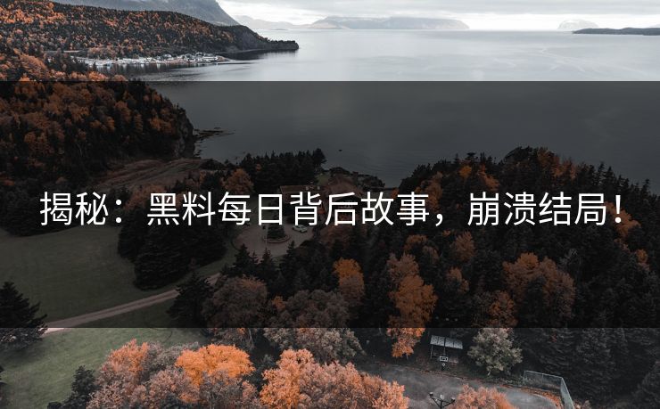 揭秘：黑料每日背后故事，崩溃结局！