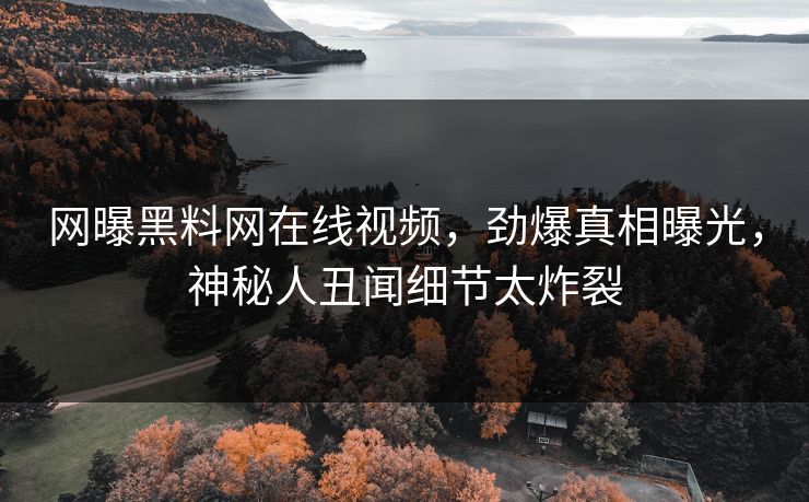 网曝黑料网在线视频，劲爆真相曝光，神秘人丑闻细节太炸裂
