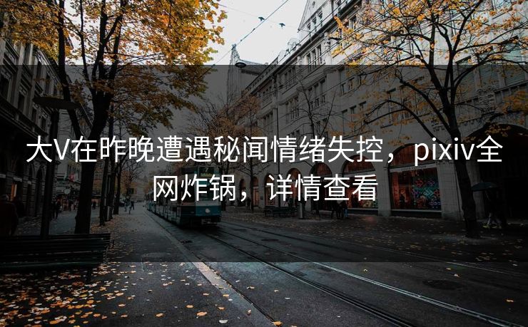 大V在昨晚遭遇秘闻情绪失控，pixiv全网炸锅，详情查看