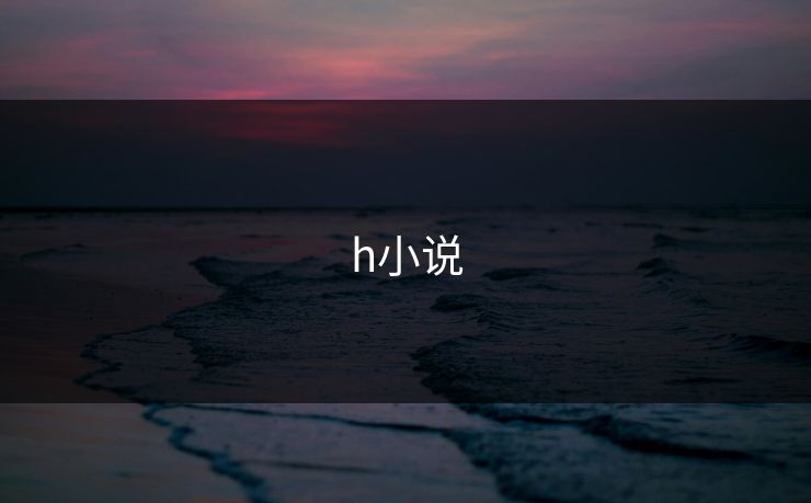 h小说